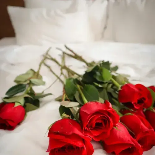 Wedding Night